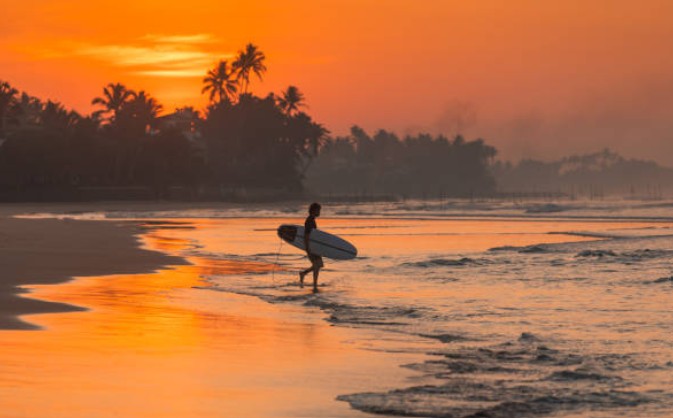 Arugam Bay Surf & Adventure