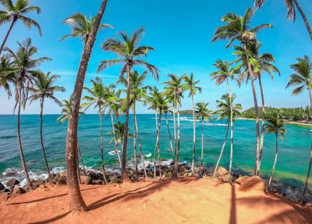 Southern Beach Escape