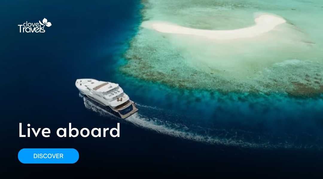 Live aboard - Maldives