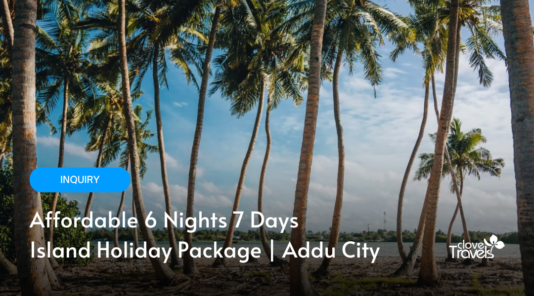 Affordable 6 Nights 7 Days Dive Holiday Package | Addu City