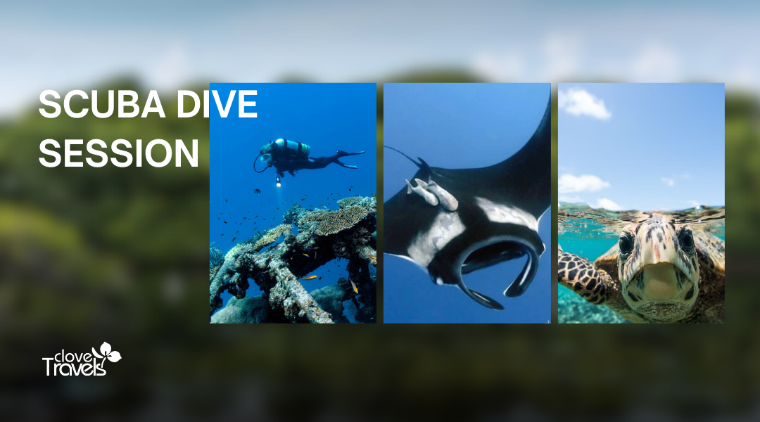 Affordable 6 Nights 7 Days Dive Holiday Package | Addu City