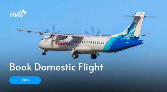 Domestic Flight Starting  - 200$