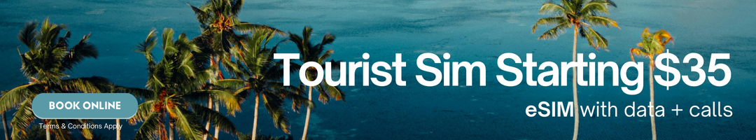 Cheapest Regular Tourist eSim - 35$