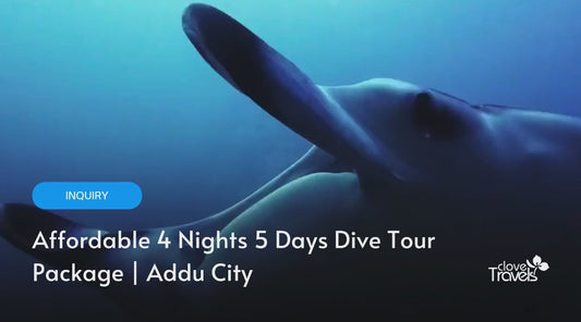 Affordable 4 Nights 5 Days Dive Holiday Package | Addu City